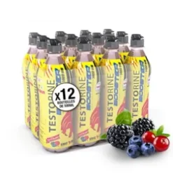 Boisson testorine Fruits rouges 500ml