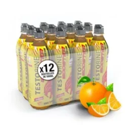 Boisson testorine Orange 500ml