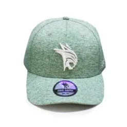 Casquette Basic Vert Adulte