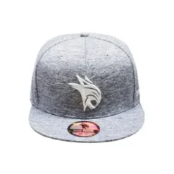 Casquette Snapback (Gris / Adulte) Gris Adulte